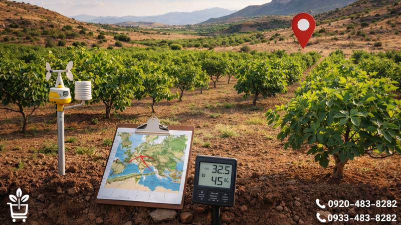 الزامات اقلیمی و جغرافیایی برای احداث باغ انجیر