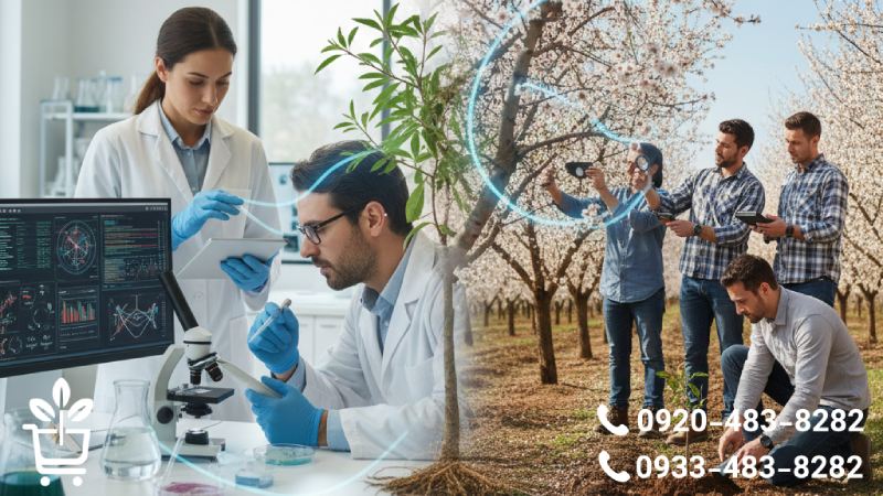 شناخت علمی نهال؛ این درخت چطور فکر می کند؟