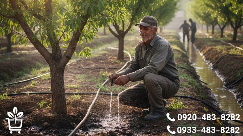 آبیاری و تغذیه؛ هنر سیراب کردن، نه غرق کردن