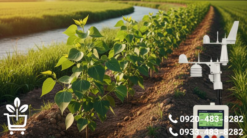 الزامات اقلیمی و محیطی برای کاشت موفق نهال صنوبر