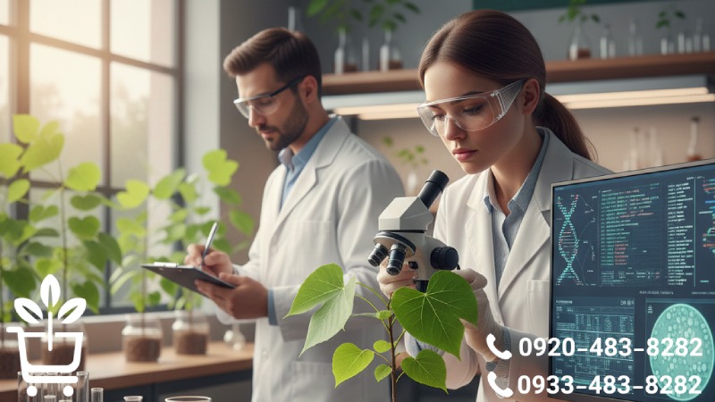 شناخت علمی و دقیق نهال صنوبر