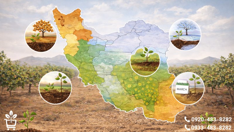 الزامات اقلیمی و جغرافیایی موفق در احداث باغ پسته