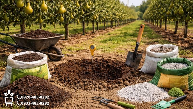 مهندسی بستر کاشت و آماده سازی خاک اختصاصی گلابی