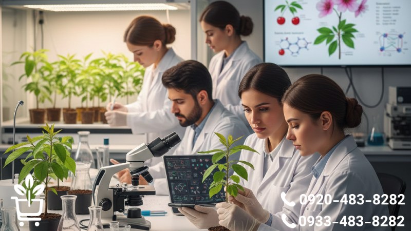 شناخت علمی و دقیق نهال گیلاس