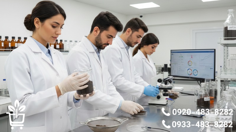 خاک مناسب برای کاشت موفق نهال گیلاس