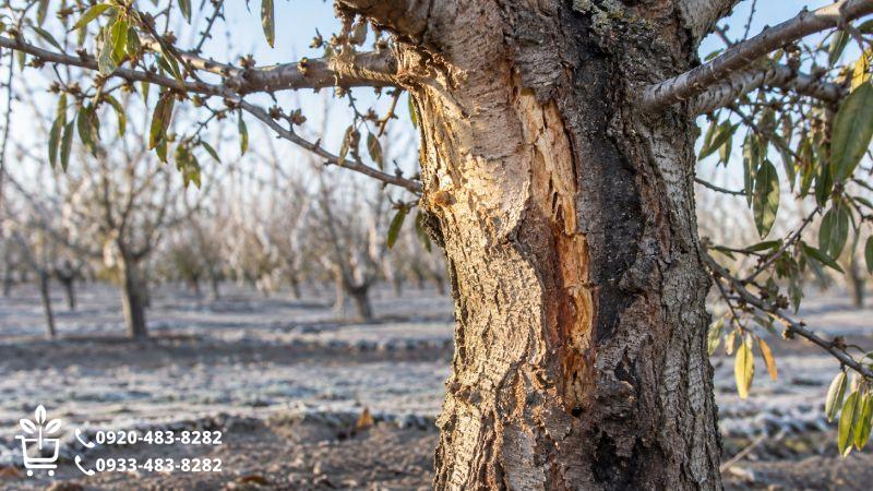 ترک ناشی از سرما و آفتاب چه سرنخهایی دارد؟