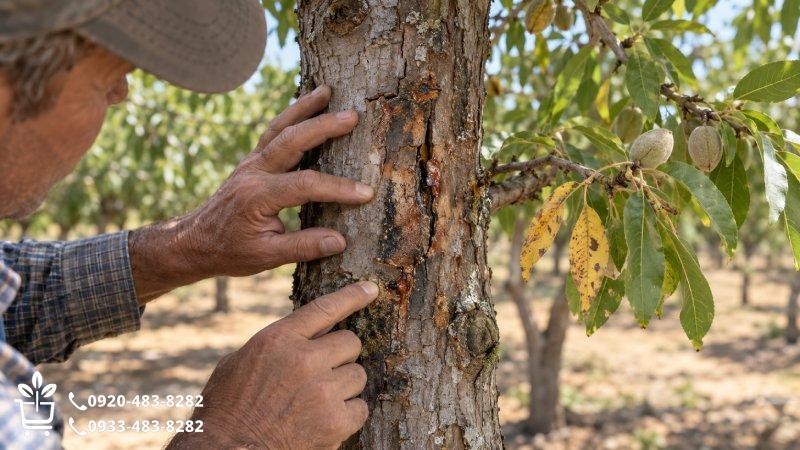 برای تشخیص آسیب جدی، فقط داخل ترک را نگاه نکن