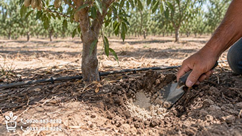 خاک خشک هم همیشه از روی سطحش معلوم نیست