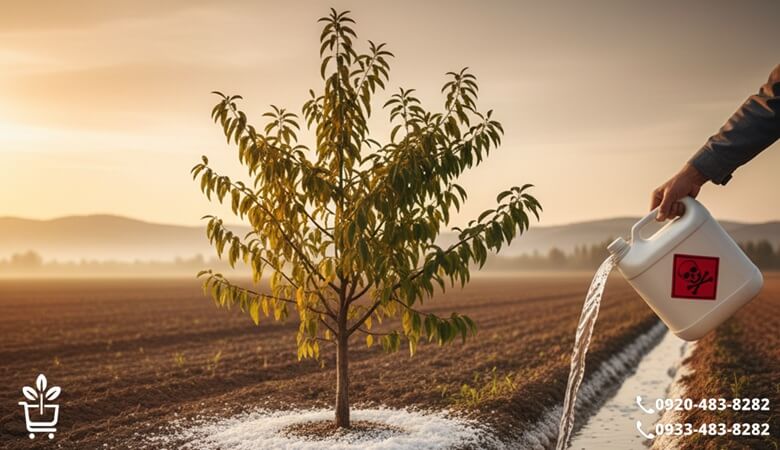 تاثیر شوری آب بر کیفیت خاک