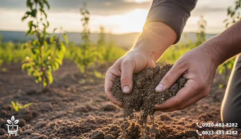 بافت خاک؛ وقتی لمس کردن معجزه می کند