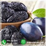 نهال آلو خرمایی - تصویر 2