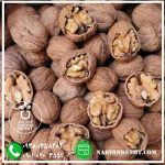 نهال گردو کاغذی