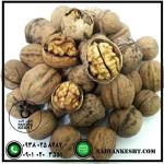 نهال گردو کاغذی - تصویر 2