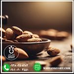 نهال بادام شمشیری - تصویر 3