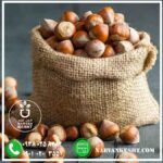 نهال فندق ترکیه - تصویر 2