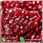 نهال انار سیاه نارون کشت