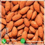 نهال بادام قرمز