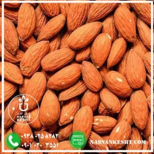 نهال بادام قرمز