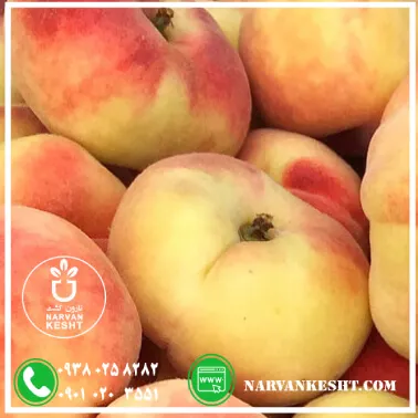 هلو انجیری زعفرانی