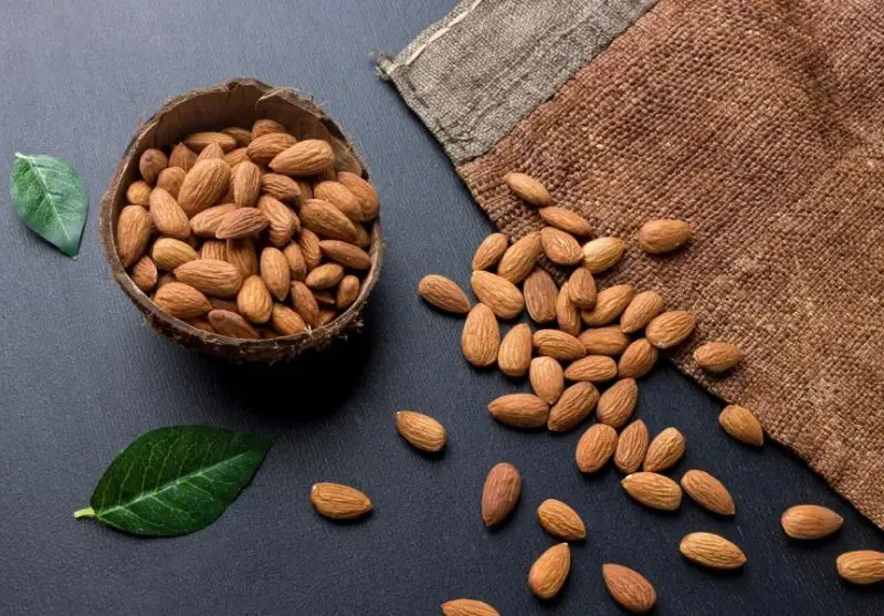 خواص بادام و کاشت نهال بادام