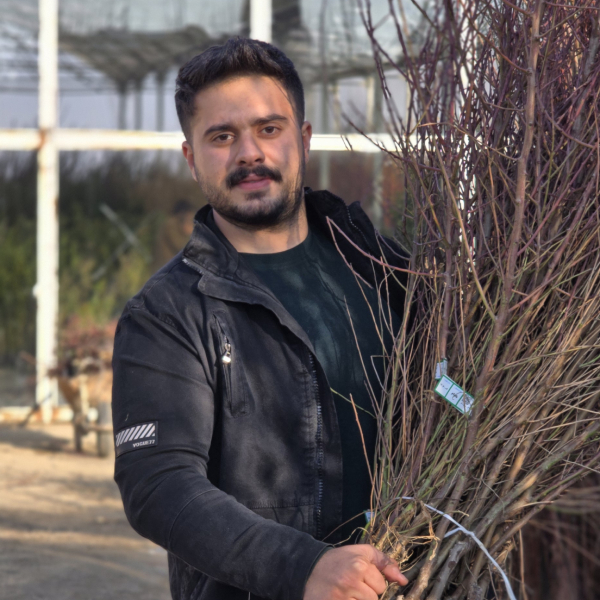 کاشت و پرورش نهال بادام