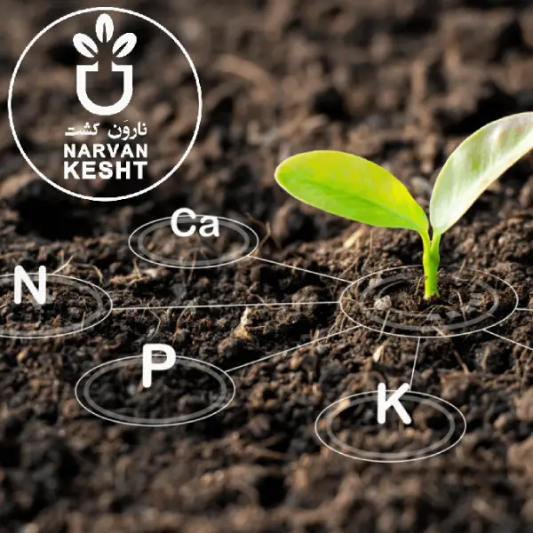 ۵ تا ترکیب اشتباه که خاک را نابود می‌کند و ریشه درختان را از بین می‌برد!