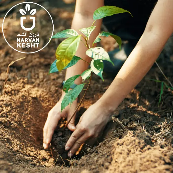 📌 منطقه تو برای کاشت درخته یا نه؟ (نقشه واقعی مناطق مناسب باغداری!)