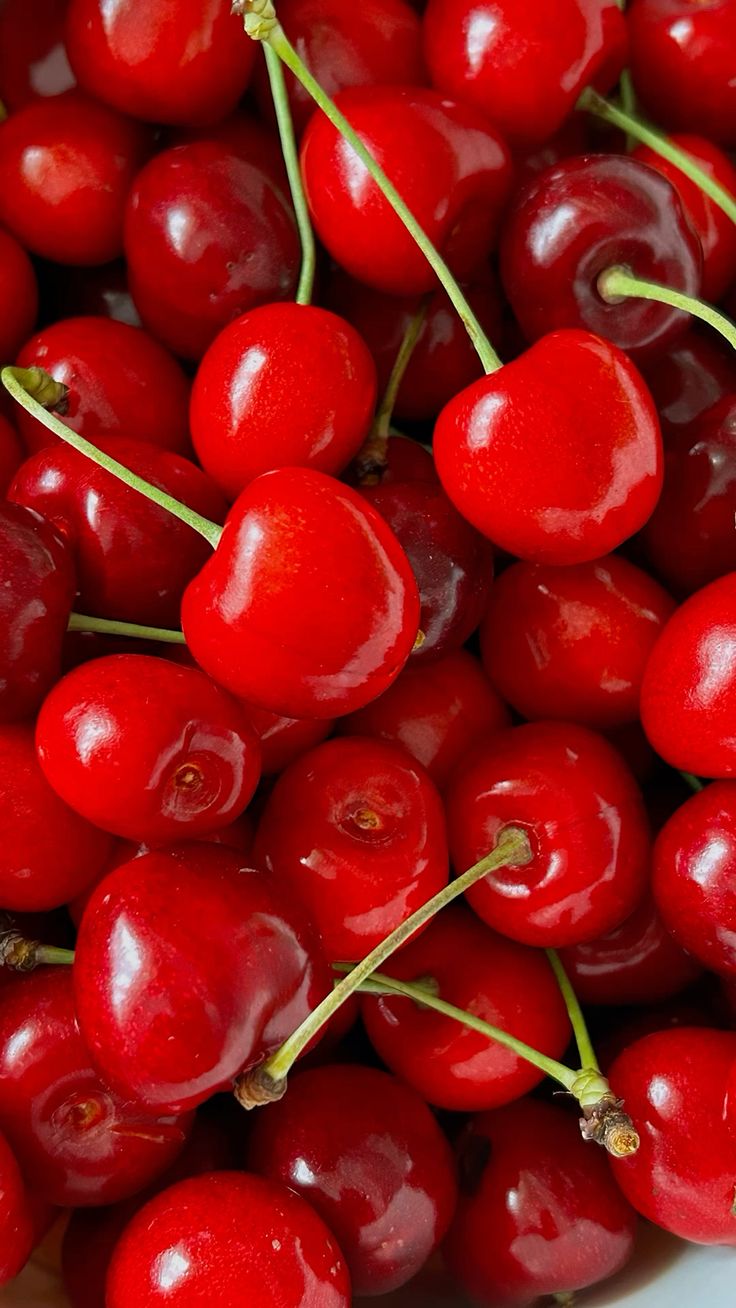 نهال آلبالوی گوشواره ای