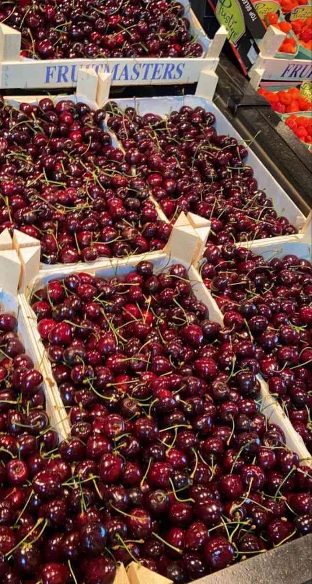 نهال گیلاس لاپینز