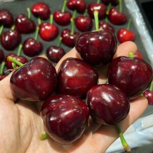 نهال گیلاس هارت