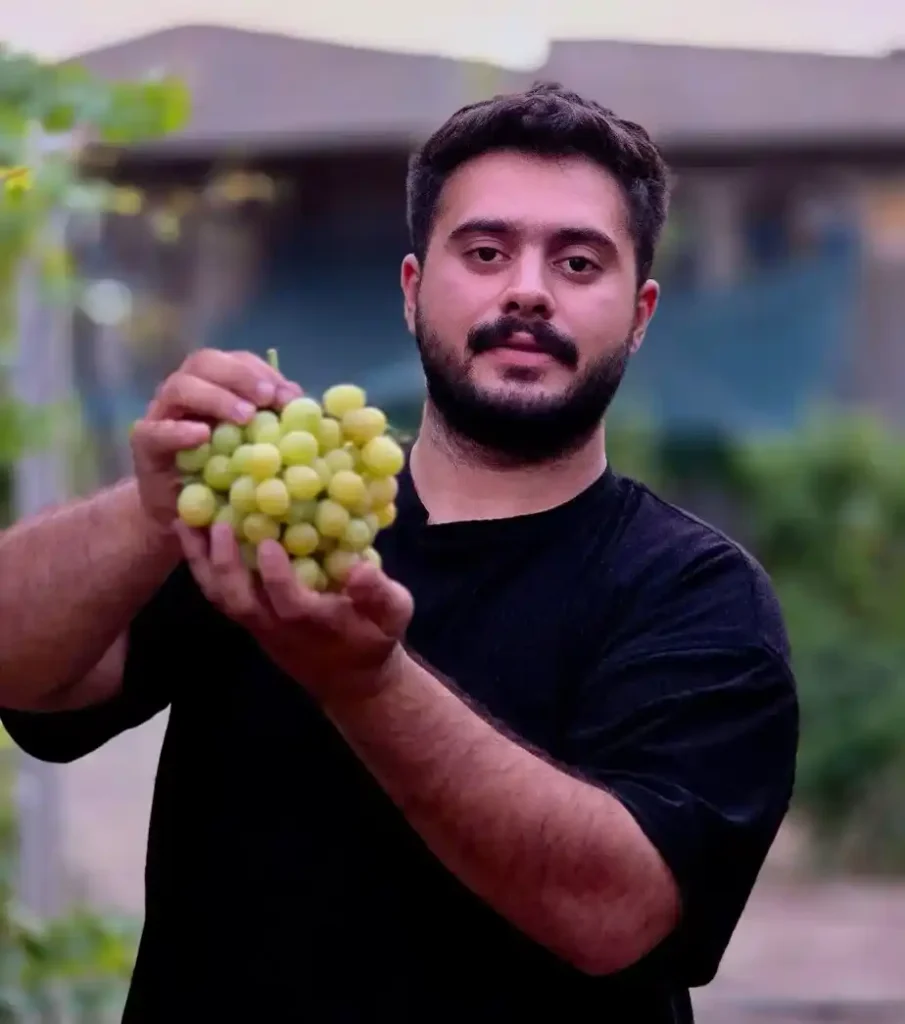 خرید نهال انگور راهنمای جامع برای کشاورزان