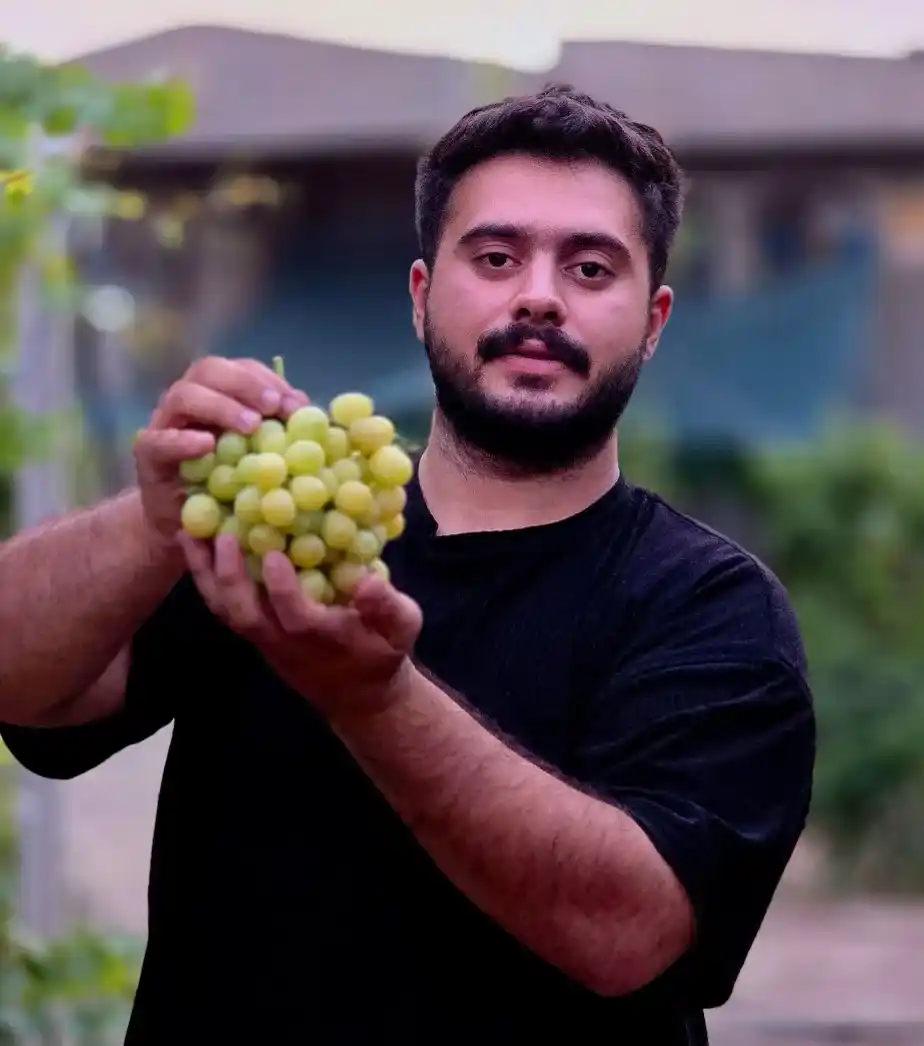 خرید نهال انگور راهنمای جامع برای کشاورزان