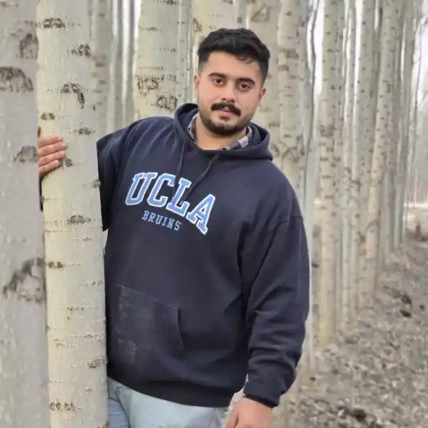 خرید نهال صنوبر