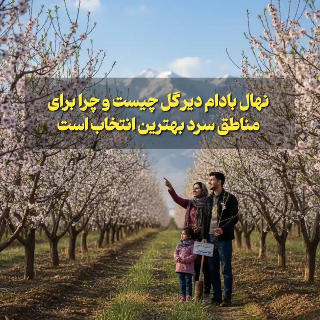 نهال بادام دیرگل