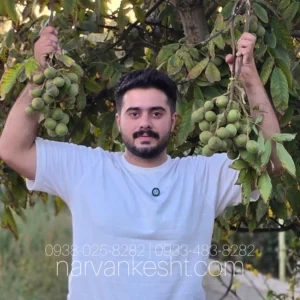 نهال گردو ژنوتیپ تیپ 7