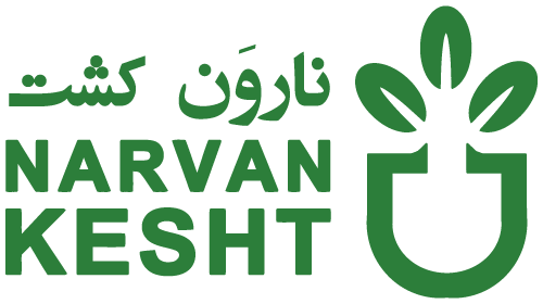 خرید نهال با قیمت باورنکردنی و ارزان در سال 1404| نهالستان نارون کشت