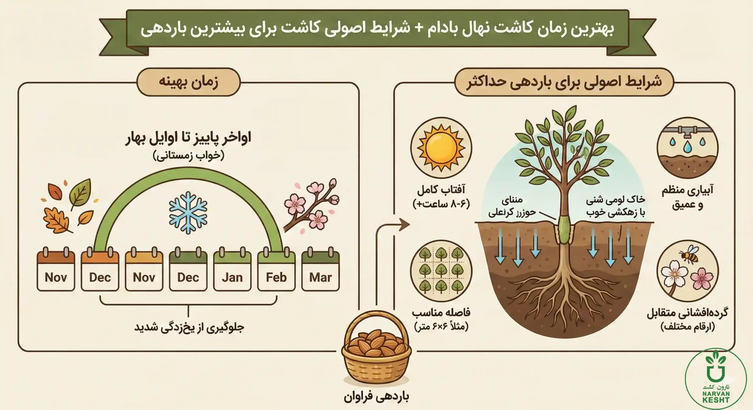 کاشت نهال بادام