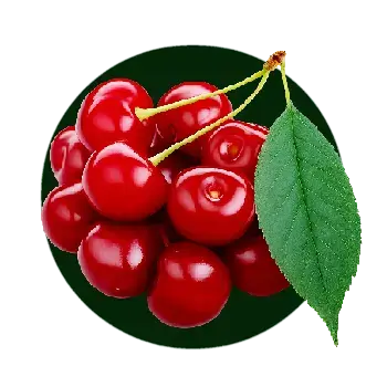 نهال آلبالو