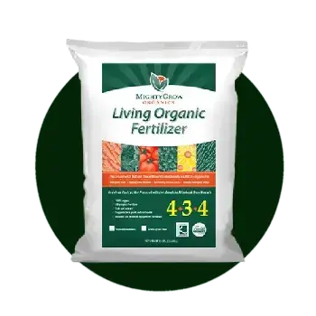 ابزار آلات کشاورزی