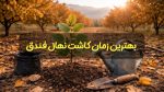 بهترین زمان کاشت نهال فندق