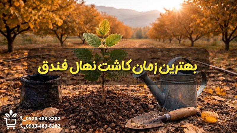 بهترین زمان کاشت نهال فندق