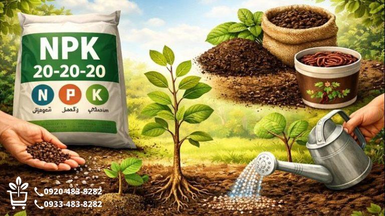 بهترین کود برای کاشت نهال | برنامه کامل ماهانه رشد (جدول مقایسه انواع نهال)