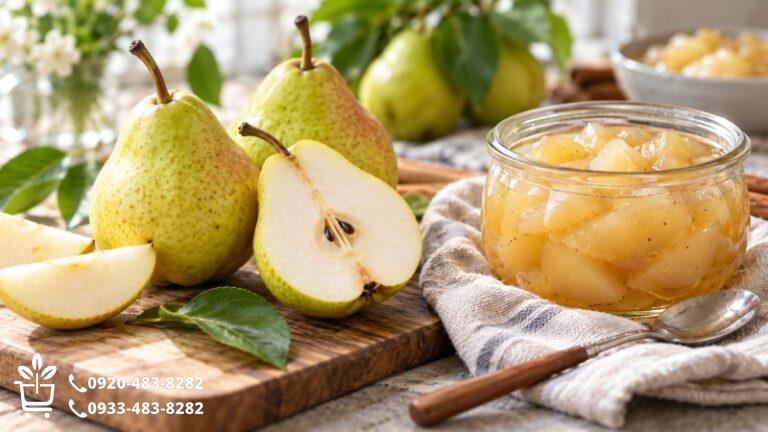 خواص گلابی؛ ارزش غذایی و مقایسه میوه تازه با کمپوت