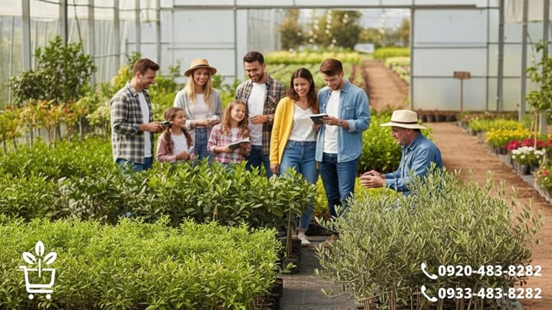 راهنمای جامع خرید نهال: ۱۲ نکته که قبل از کاشت باید بدانید