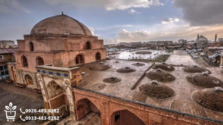 راهنمای کامل خرید نهال در ارومیه