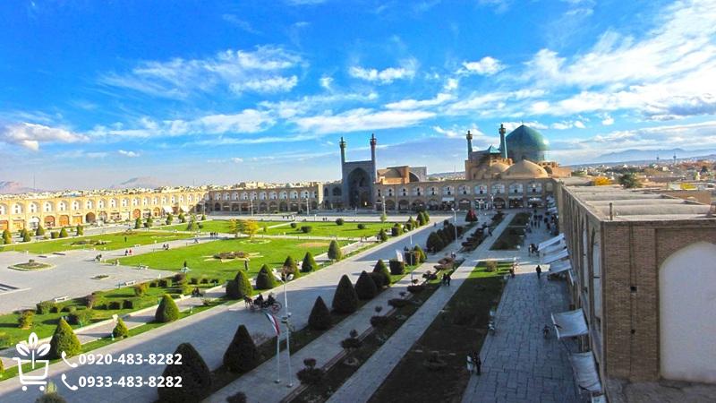 خرید نهال در اصفهان