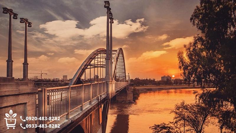 خرید نهال در اهواز