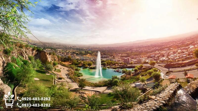 خرید نهال در بروجرد