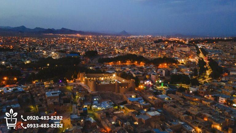 راهنمای کامل خرید نهال در بیرجند