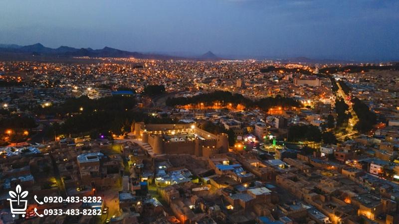 خرید نهال در بیرجند